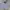 Champion Vintage Sportswear Hoody Pria gray photo 1