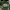 Vintage Casual Bomber jacket Pria green gray photo 3