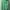 Jean-Michel Basquiat Streetwear Indie Hoody Pria green photo 2