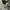 The North Face Streetwear Casual Hoody Pria gray photo 2