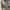 The North Face Streetwear Casual Hoody Pria gray photo 3