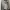The North Face Streetwear Casual Hoody Pria gray photo 1