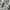 Nike Streetwear Sportswear Hoody Pria gray photo 3