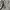 Nike Streetwear Sportswear Hoody Pria gray photo 4