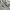 Nike Streetwear Sportswear Hoody Pria gray photo 2