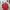 Streetwear Casual shirt Pria red photo 5