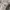 Carhartt Streetwear Indie Hoody Pria gray photo 5