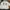 Abercrombie & Fitch Vintage Y2K Hoody Pria white photo 1