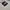 The North Face Sportswear Casual Hoody Pria green photo 4