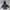 Gorpcore Casual Track jacket Pria gray photo 1