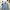 Renoma Streetwear Casual shirt Pria blue photo 5