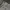 Minimalist Culotte Wanita gray photo 2