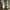 Converse Skater Casual Sneakers Pria multicolor photo 1