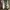 Converse Skater Casual Sneakers Pria Multicolor