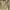 ZARA Minimalist Casual Casual trouser Wanita tan brown photo 5
