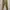 ZARA Minimalist Casual Casual trouser Wanita tan brown photo 3