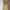ZARA Minimalist Casual Casual trouser Wanita tan brown photo 6