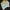 Streetwear Sweatshirt Wanita white green photo 1