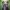 Minimalist Midi dress Wanita purple photo 5