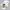 09WOMEN Avant Garde Casual T-shirt Pria white photo 2