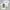 09WOMEN Avant Garde Casual T-shirt Pria white photo 3