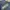 Streetwear Fleece Pria Navy Blue