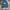 Streetwear Fleece Pria navy blue photo 2