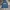 Streetwear Fleece Pria Navy Blue