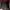 JanSport Casual Bag Pria burgundy red photo 2