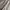Ocean Pacific Casual Formal shirt Pria white gray photo 3