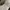 Luxury Nightgown Wanita white photo 4