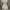 Luxury Nightgown Wanita white photo 3