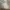Luxury Nightgown Wanita white photo 4