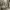 Luxury Nightgown Wanita gray photo 2