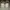 Compass Streetwear Casual Sneakers Pria cream photo 4