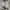 Compass Streetwear Casual Sneakers Pria cream photo 1