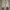 Compass Streetwear Casual Sneakers Pria cream photo 3