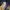 GAP Vintage Y2K Hoody Pria purple photo 3