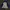Adidas Vintage Sportswear Windbreaker Pria white blue photo 3