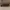 Caterpillar Vintage Boots Pria tan photo 7