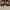 Caterpillar Vintage Boots Pria tan photo 4
