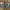 Caterpillar Vintage Boots Pria tan photo 8