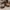 Caterpillar Vintage Boots Pria tan photo 5