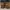 Caterpillar Vintage Boots Pria tan photo 6