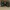 Timberland Vintage Boots Pria green photo 6