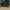 Timberland Vintage Boots Pria green photo 5