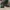 Timberland Vintage Boots Pria green photo 3