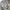 New Balance Y2K Sneakers Wanita white gray photo 1