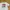 VANS Streetwear Skater T-shirt Pria white photo 3