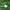 Adidas Casual Casual shirt Pria green photo 4